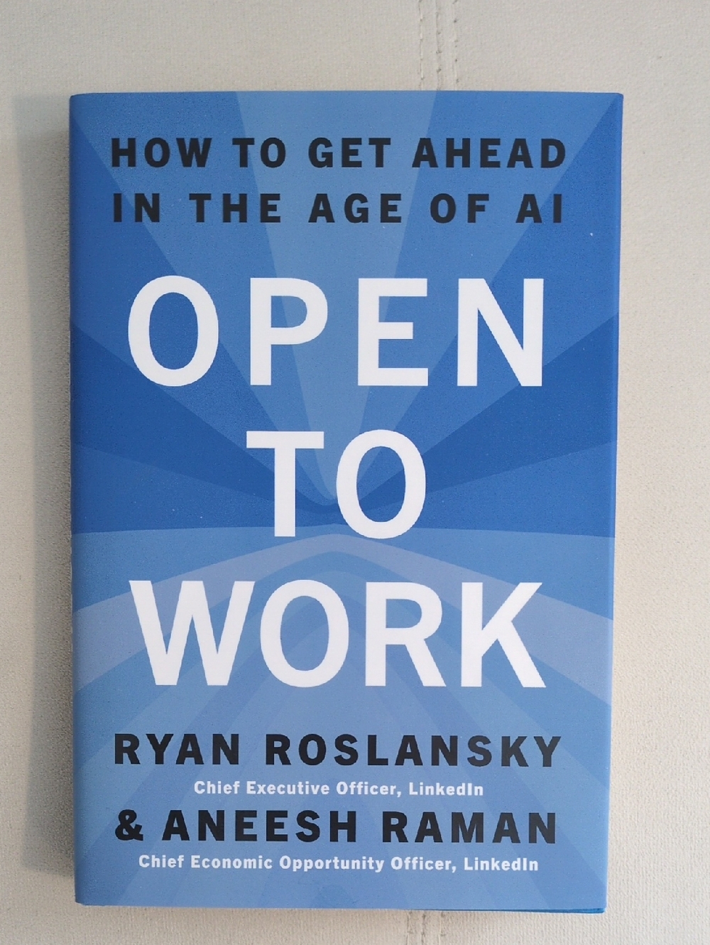 Open to Work by Ryan Roslansky & Aneesh Raman (Hardcover)